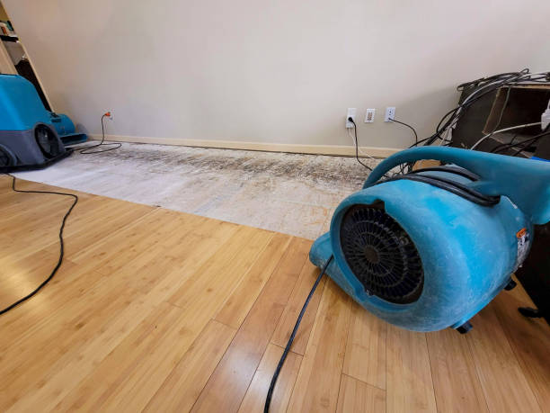 Professional Structural Drying technician working in Rock City Falls, NY